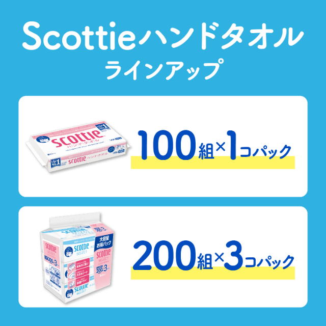 公式】ペーパータオル やわらか 中判 大容量200組(400枚) スコッティ