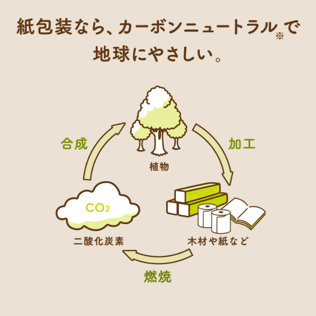 スコッティカシミヤナチュラル