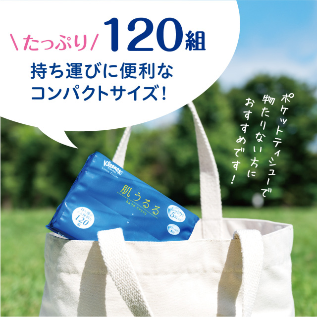公式】ローションティッシュ ソフトパック 120組(240枚) 24パック
