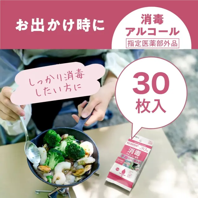 お出かけ時にしっかり消毒したい方に（30枚入り携帯用）