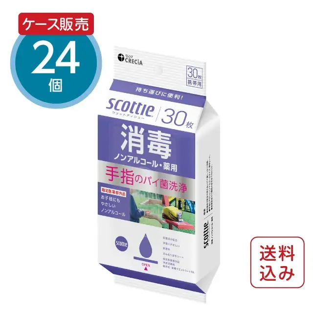 除菌フレッシュ×24本 公式】ウェットティッシュ 消毒 ノンアルコール 携帯用 30枚×24パック