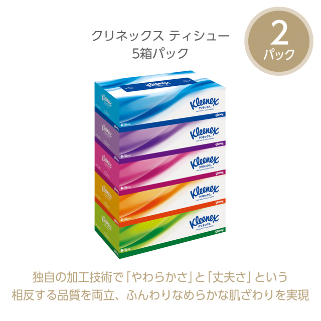 富士コース　F05 クリネックス詰め合わせ