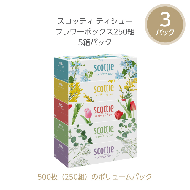 クレド　10点セット 公式】ギフトセット スコッティ 長持ち用品詰合せ（F07）｜日本製紙