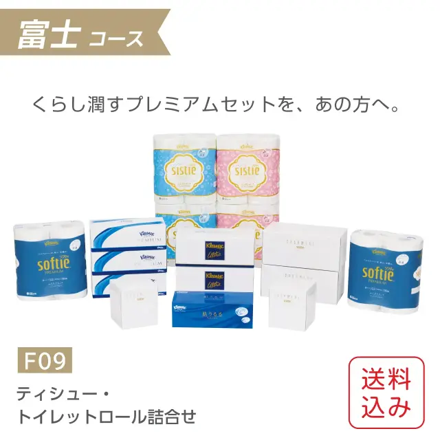 ギフトセット ティッシュ・トイレットペーパー詰合せ クリネックス・スコッティ（F09）