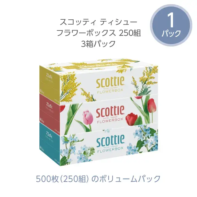 スコッティ ティシュー 250組 3箱 ×1パック