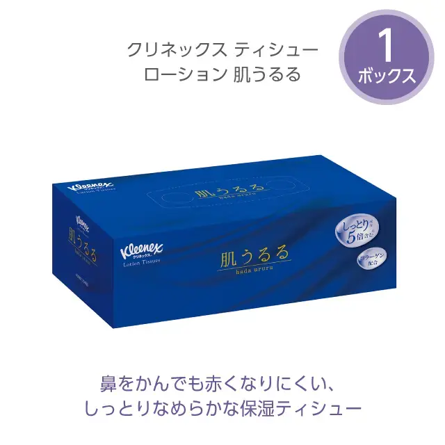 公式】ギフトセット ティッシュ・トイレットペーパー詰合せ