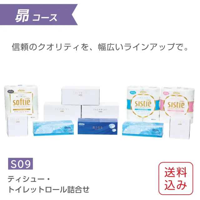 ティッシュ・トイレットペーパー詰合せギフト クリネックス・スコッティ