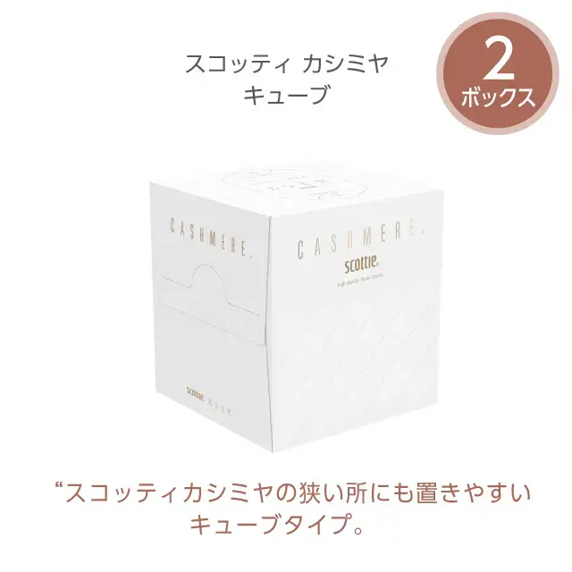 スコッティ ティシュー カシミヤ キューブ 2箱