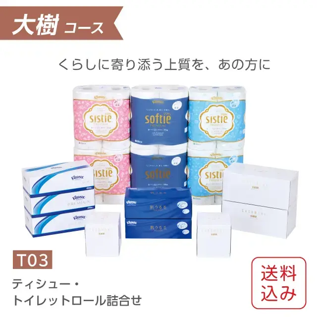 ギフトセット ティッシュ・トイレットペーパー詰合せ クリネックス・スコッティ
