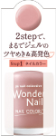 paワンダーネイル　4511692165404