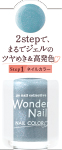 paワンダーネイル　4511692166067