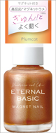 EB　マグネットネイルカラー　4511692170293