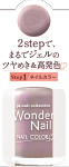 paワンダーネイル　4511692165961