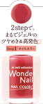 paワンダーネイル　4511692166029