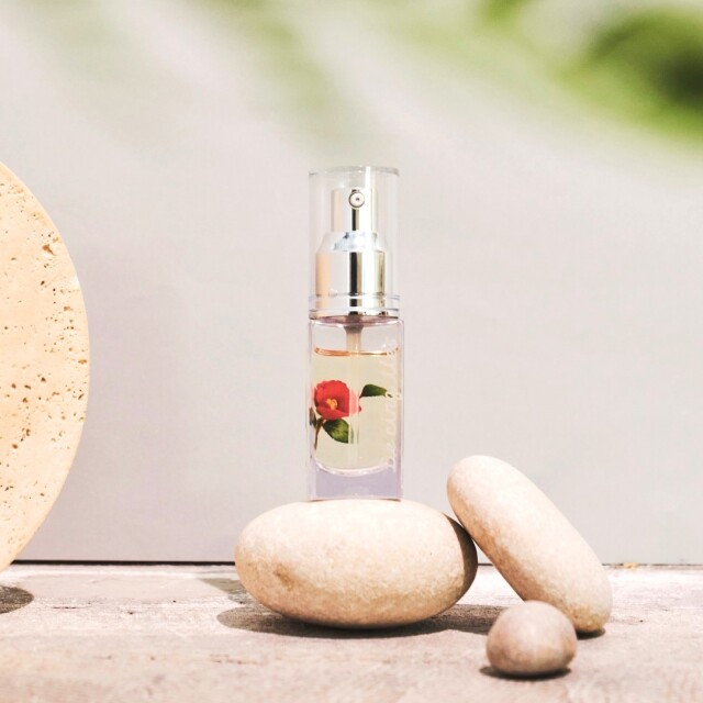 ドゥ サンクィル ピュア椿