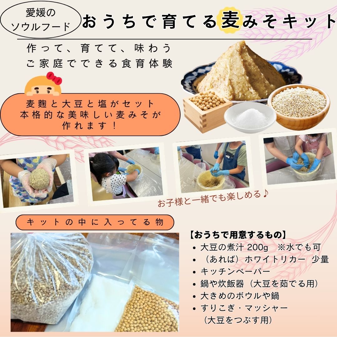 みそキット