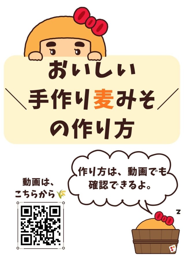 手作りみそキット