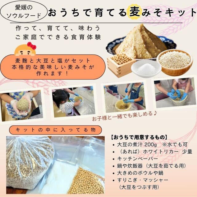 みそキット