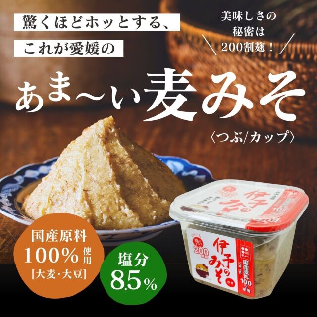 国産伊予のみそ・つぶカップ650g｜国産麦・大豆100％使用！麹たっぷり