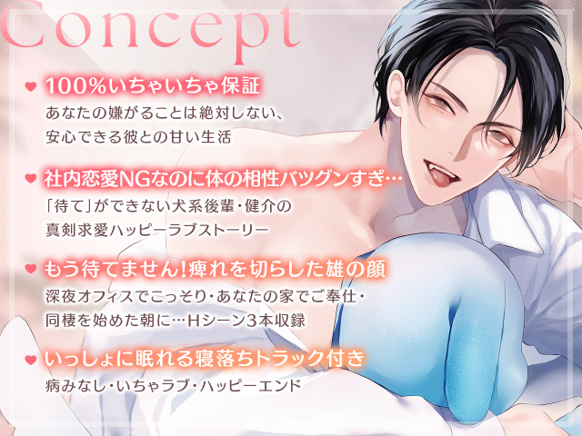 しごできダーリン 3巻 コンセプト