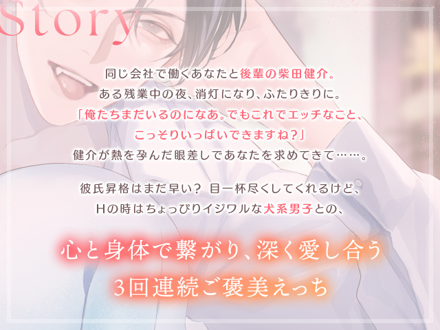 しごできダーリン 3巻 ストーリー