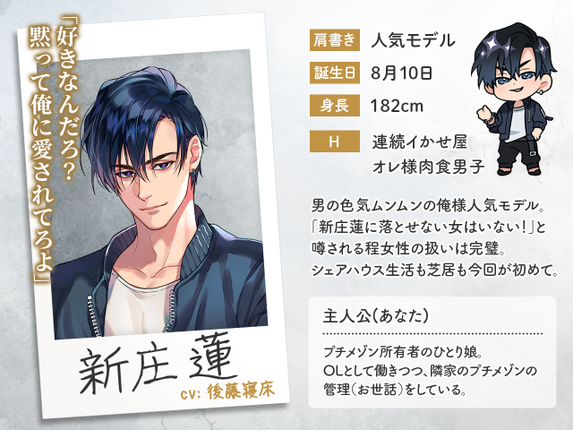 大人のシェアハウス_新庄蓮_サンプル画像3