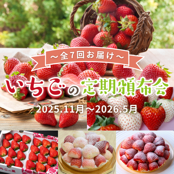 いちごの定期頒布会