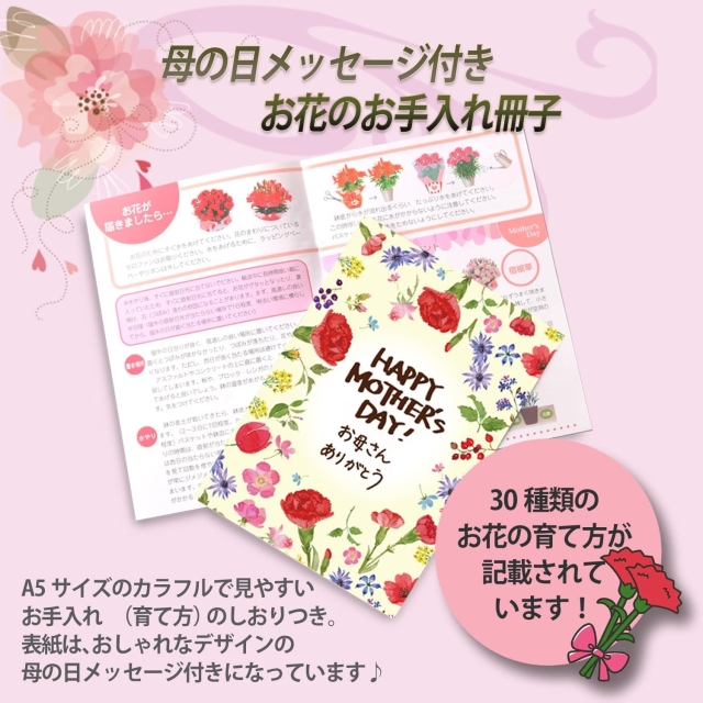 母の日ギフト