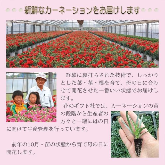 母の日ギフト