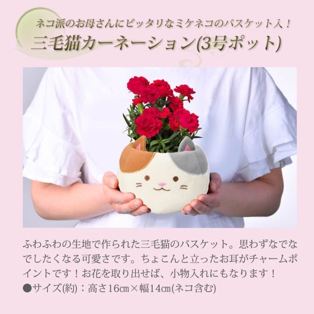 母の日ギフト