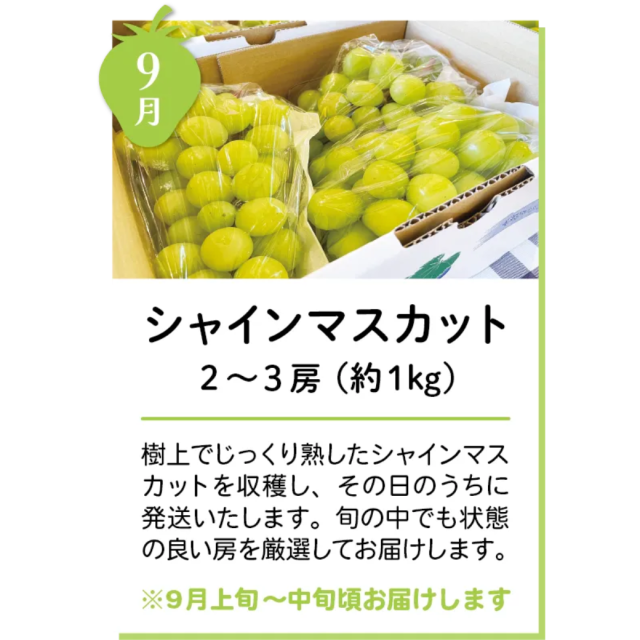 季節のごほうび定期便