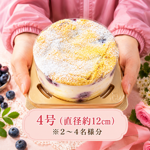 ブルーベリーチーズケーキ 4号 直径約12cm