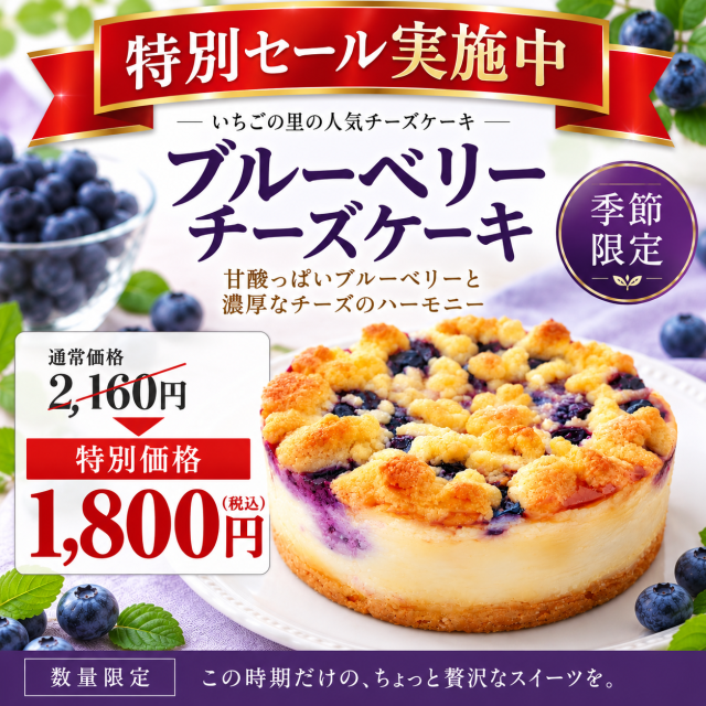 ブルーベリーチーズケーキ