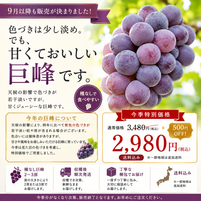 巨峰2〜3房セット
