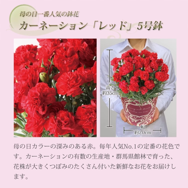 母の日ギフト