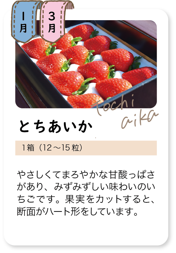 定期頒布会_11・3月