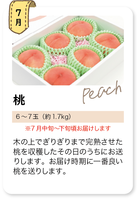 定期頒布会_7月