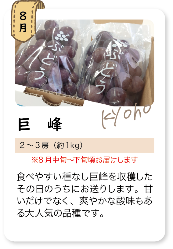 定期頒布会_8月