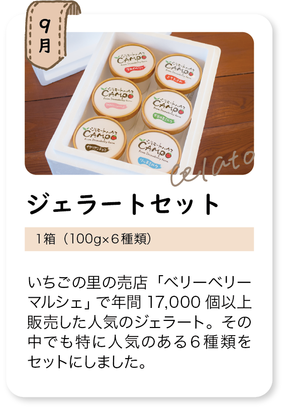 定期頒布会_9月