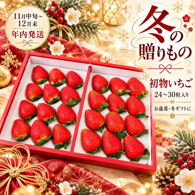 初物いちご24〜30粒入り
