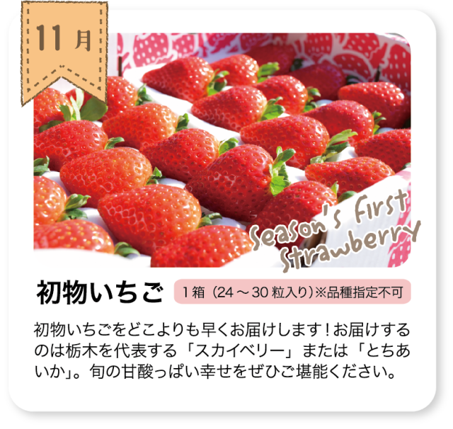 月1回お届け♪いちごのおたのしみ便（送料込5,980円） いちごの