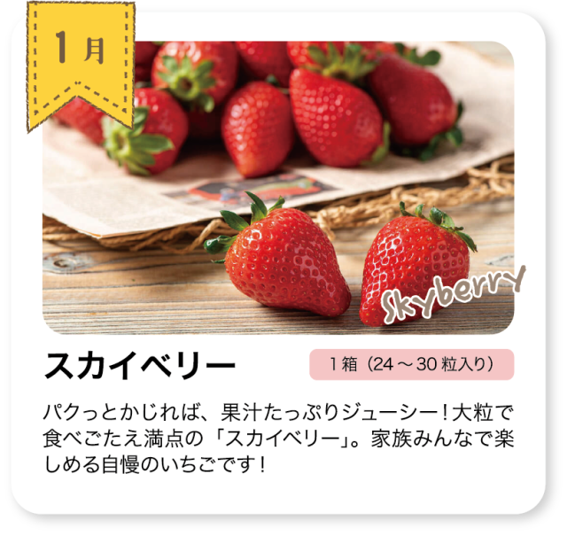 いちごの定期頒布会_1月