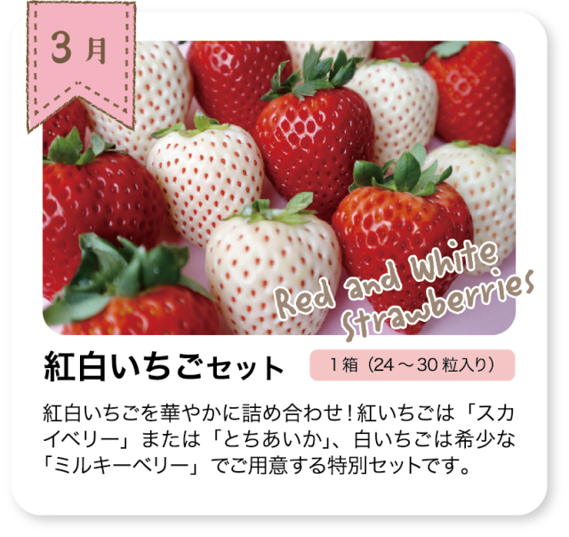 いちごの定期頒布会_3月