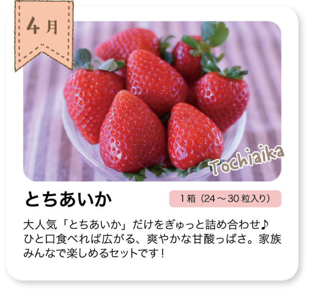 いちごの定期頒布会_4月