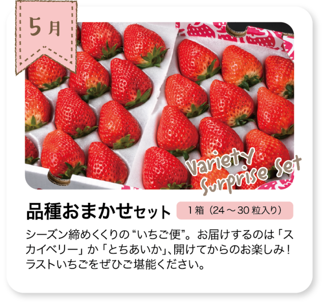 いちごの定期頒布会_5月