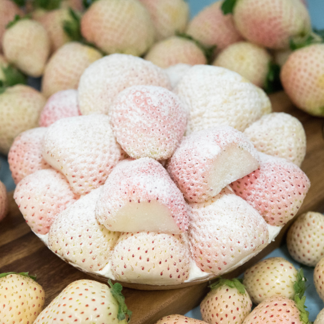 ミルキーベリータルト