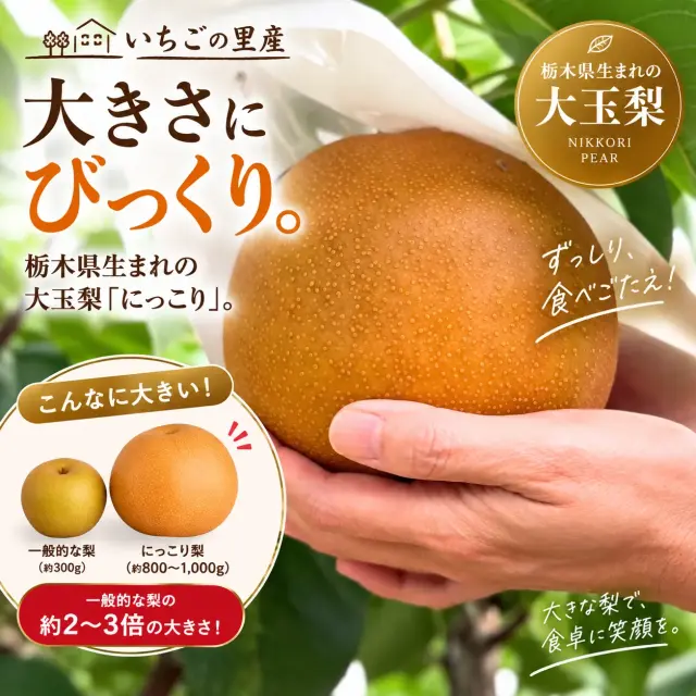 にっこり梨