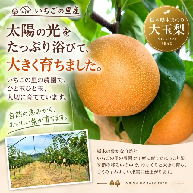 にっこり梨