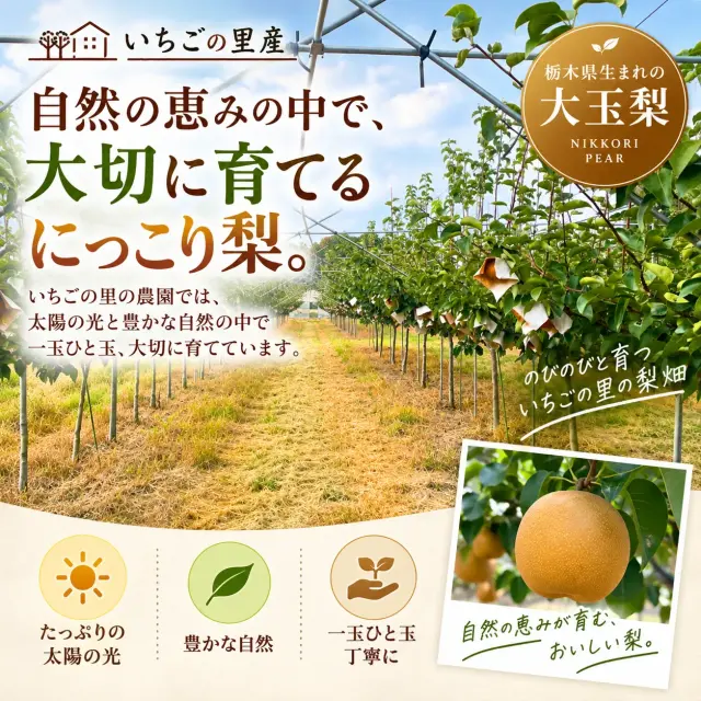 にっこり梨