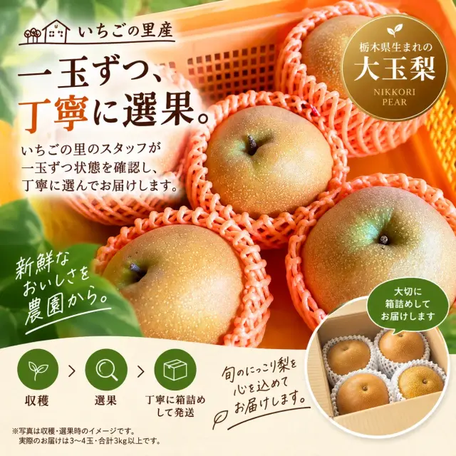 にっこり梨